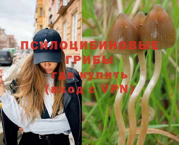 прущая мука Вязники