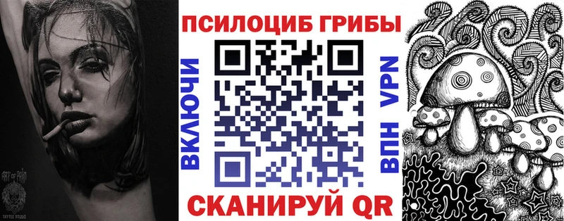 Галлюциногенные грибы MAGIC MUSHROOMS  где купить наркотик  OMG рабочий сайт  Ахтырский 